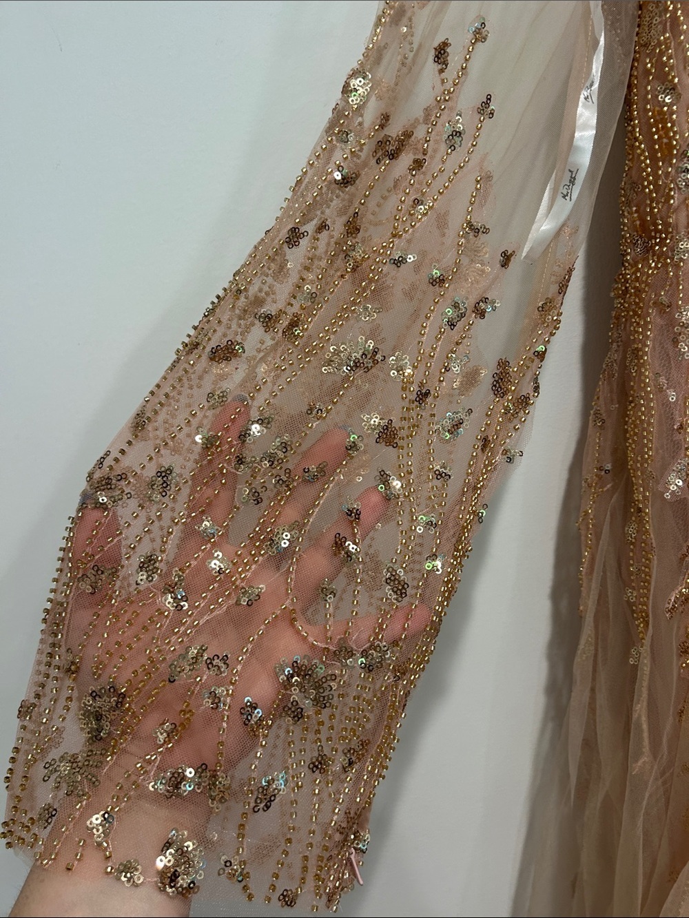 Mac Duggal Blush Champagne Embellished v neck Tulle Maxi Gown plus size 24 new - Picture 3 of 14